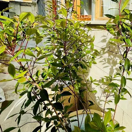 Appartamento I Cavour 108 *